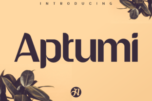 Aptumi: A Modern Typeface for Web Design