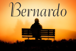Bernardo Family Font for Creative Projects