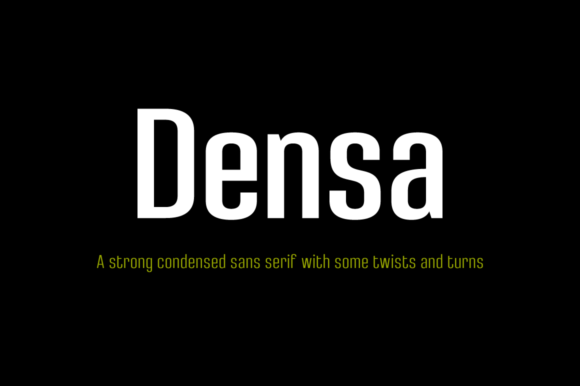Densa Family Font for Creative Projects